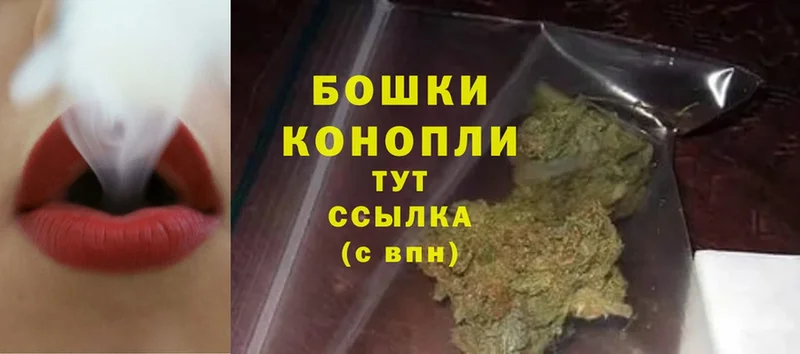 Бошки марихуана OG Kush  Александров 